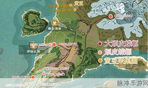 创造与魔法，顽皮蝾螈饲料获取秘籍大公开