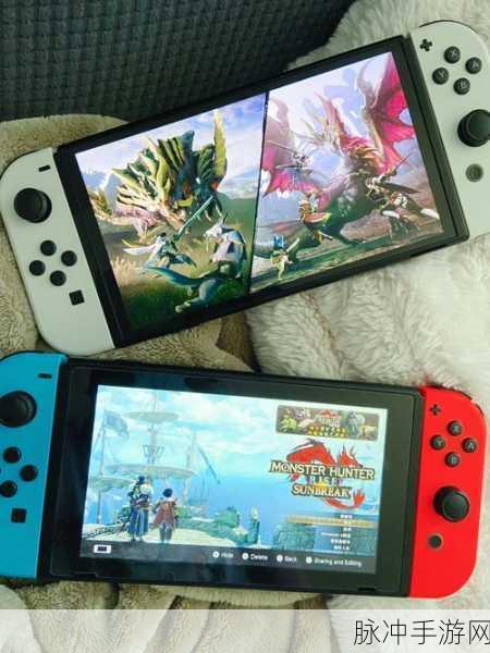 怪物猎人曙光，PC 版与 NS 版究竟该选谁