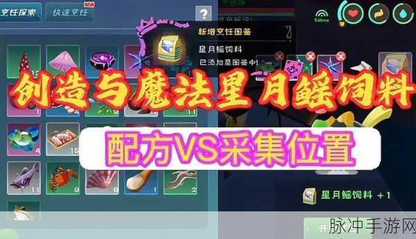 创造与魔法，揭秘天空鳐饲料保底数量全攻略