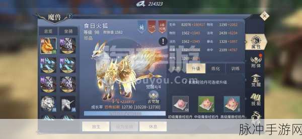 斗破苍穹手游雷族技能深度解析与搭配指南