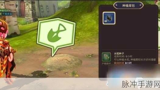 龙之谷手游攻略，家园种植方法详解