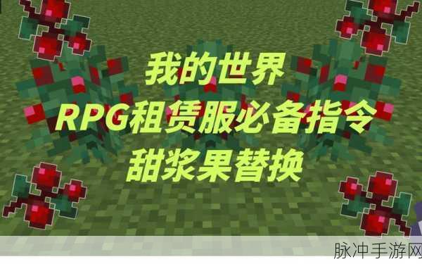 我的世界，探寻地形指令的秘密指南