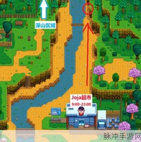 星露谷物语挖矿全攻略，深入无尽矿洞，探寻财富之源