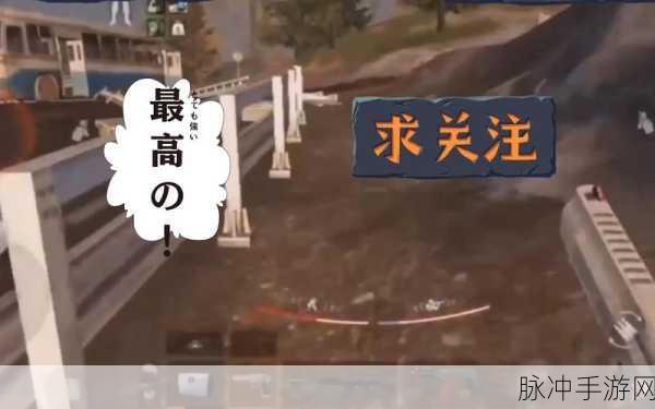 暗区突围追捕行动全攻略，深度解析追捕行动玩法