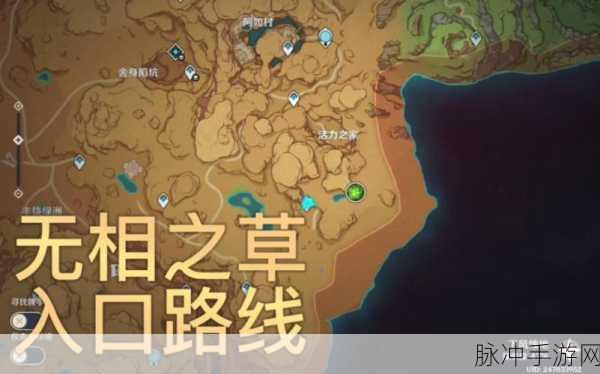 原神深度攻略，揭秘无相之草的攻克秘籍