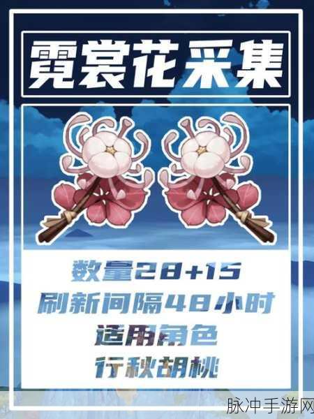 原神风花节庆典巡回卷全攻略，轻松解锁秘籍与详尽活动指南