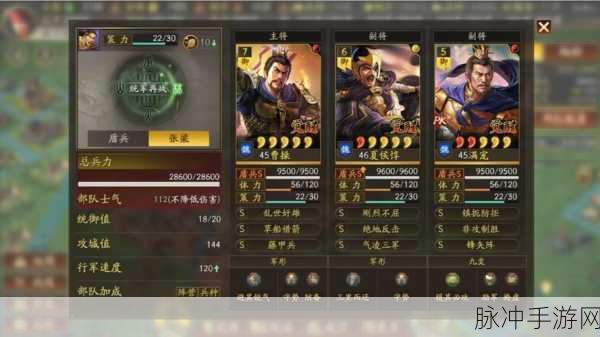 三国志战略版深度攻略，骑虎难下战法详解与应用
