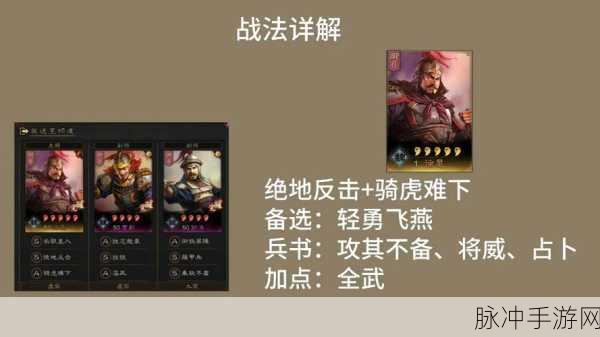 三国志战略版深度攻略，骑虎难下战法详解与应用