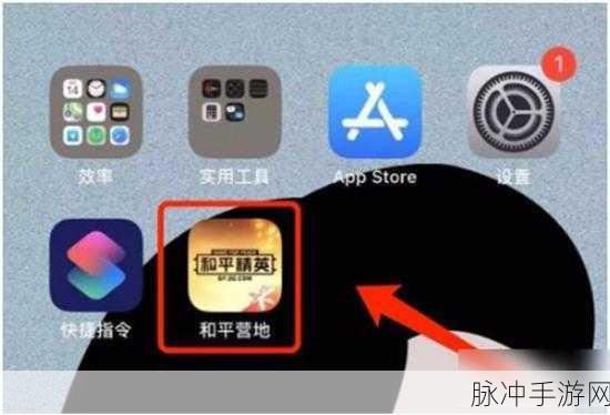 和平精英性别标识更改指南，轻松变身为女