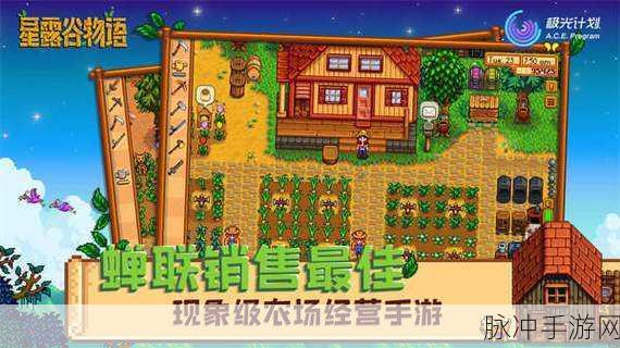 星露谷物语冬季赚钱全攻略，解锁多种有效办法，助你轻松捞金
