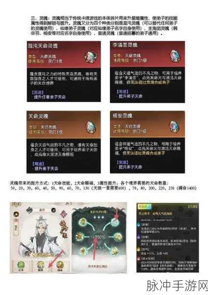 最强祖师天命全解析，天命系统深度介绍与攻略