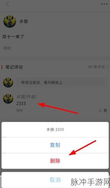 探索小红书评论回复记录删除秘籍，畅玩手游世界