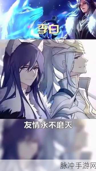 王者荣耀，韩信与李白上分实力大揭秘