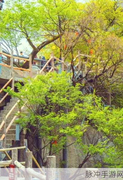 金庸群侠传3深度攻略，华山山洞探秘之旅