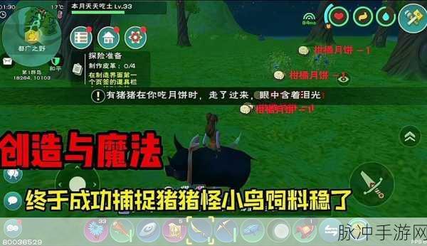 创造与魔法遥望月亮的猪猪怪位置及捕捉方法全解