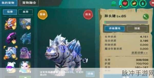 创造与魔法白虎进阶攻略及资质详细介绍