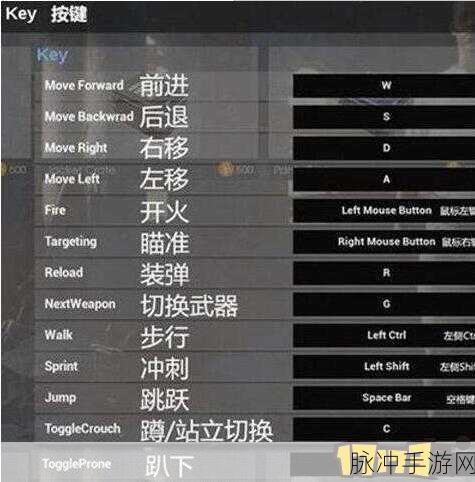 绝地求生大逃杀深度攻略，屏息瞄准技巧详解