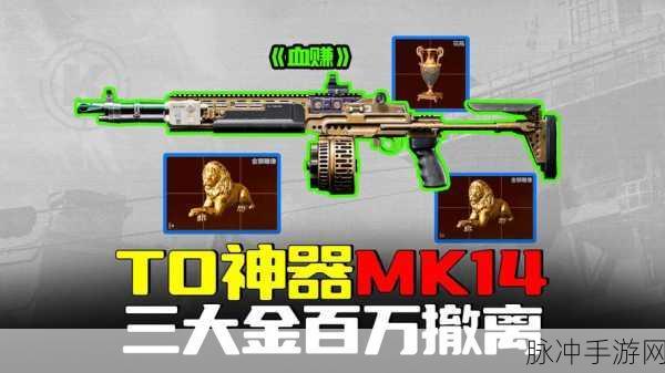 暗区突围，掌握 MK14 倍镜安装秘籍