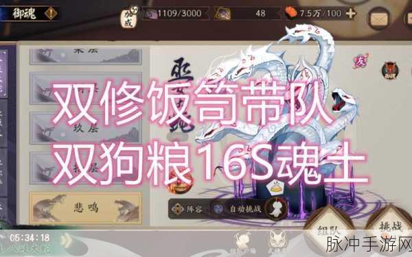 2024 阴阳师饭笥御魂搭配秘籍大公开