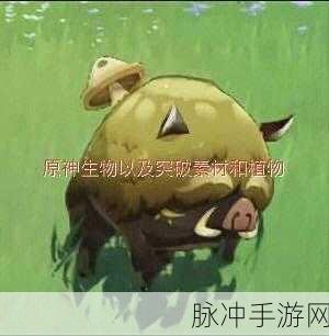 原神凶猛动物防治任务全攻略，轻松通关，畅享冒险之旅