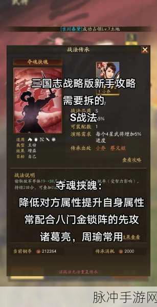 三国志战略版新手PVP攻略，从零开始的征服之路