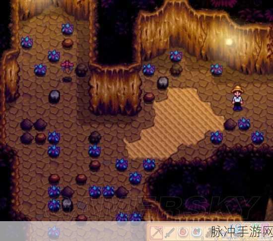 星露谷物语海草获取全攻略，揭秘神秘植物的轻松收集之道