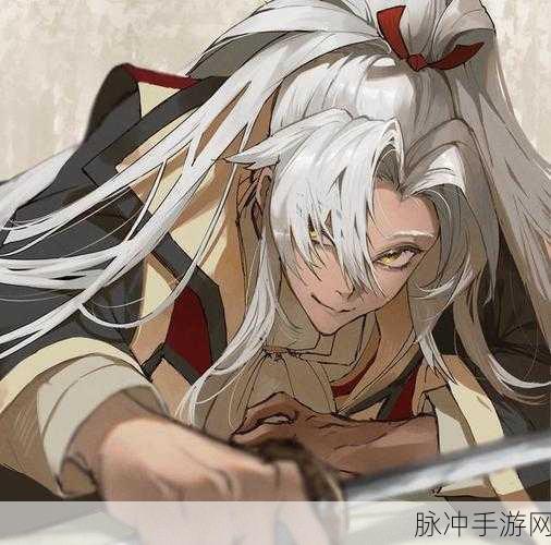 FGO天草郎强化后全新实力解析，宝具本强化效果深度探讨与实战表现提升