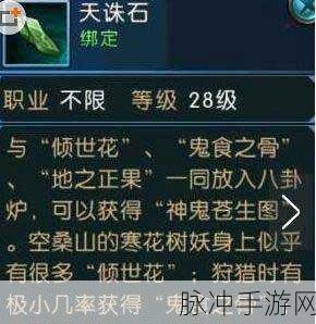 诛仙手游天诛石获取攻略，解锁隐藏任务的神秘钥匙