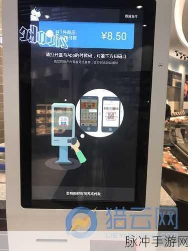 手游攻略，揭秘盒马口令的输入位置与获取攻略