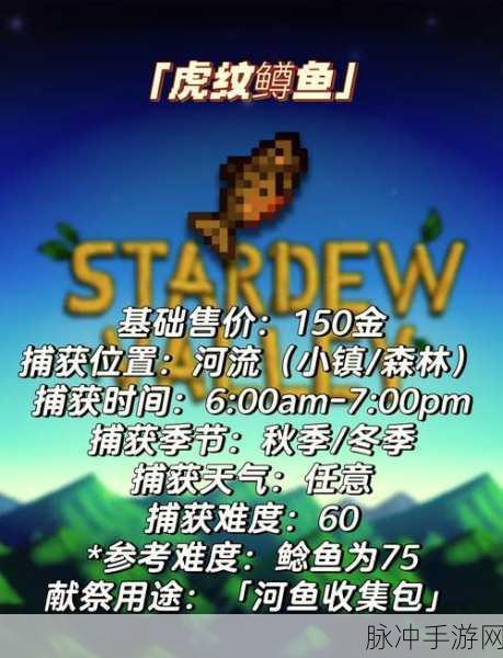 星露谷物语，探索矿洞旁神秘山洞的秘诀
