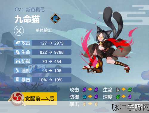 阴阳师手游九命猫高效刷新攻略，全面解析与推荐