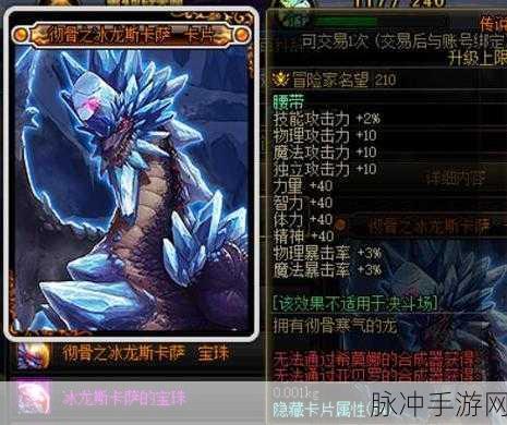 冰原守卫者冰龙技能抉择指南