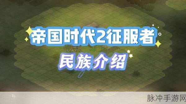 帝国时代2秘籍使用方法全解，征服者的终极指南