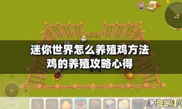 迷你世界飞鸡喂食全攻略，解锁飞鸡饲养新技巧
