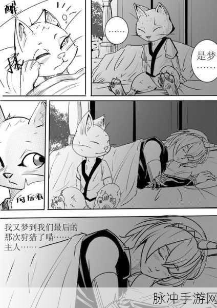 怪物猎人崛起猫攻略，解锁你的猫伙伴最强潜力