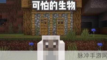 我的世界，11 年前那些神秘的隐藏生物