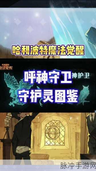 哈利波特魔法觉醒呼神护卫禁林通关攻略大全