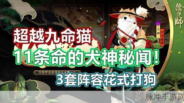 阴阳师犬神阵容搭配全攻略,竞技场制胜之道