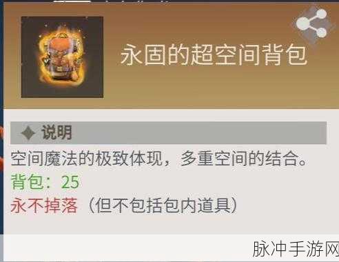冰原守卫者手游，解决背包空间难题的实用指南