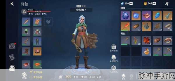 冰原守卫者手游，解决背包空间难题的实用指南