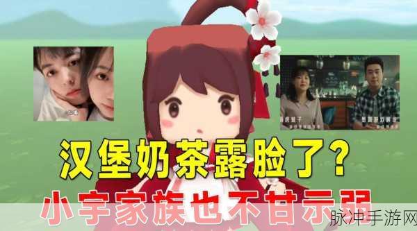 迷你世界汉堡游戏解说的魅力探寻