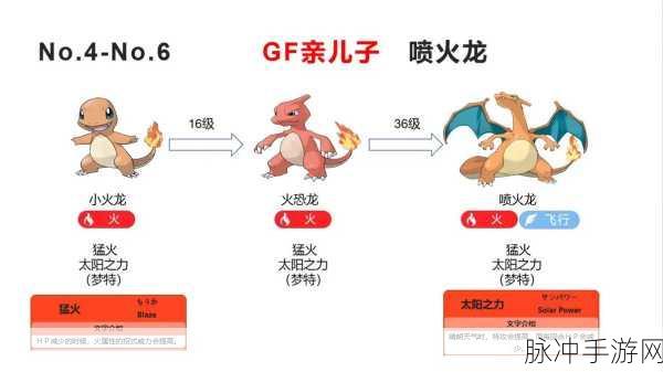 宝可梦大探险，喷火龙培养的全面攻略与要点分析