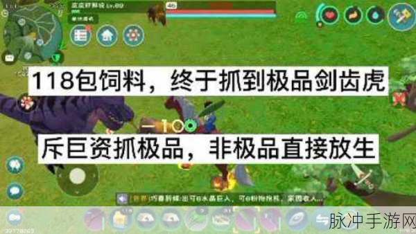 创造与魔法，剑齿虎饲料制作全攻略，材料搜集、步骤详解与高效技巧揭秘