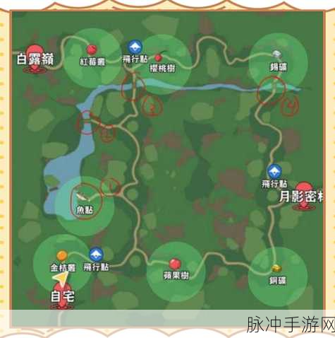 小森生活木灵峡谷资源分布图及稀有动植物甲虫位置全攻略