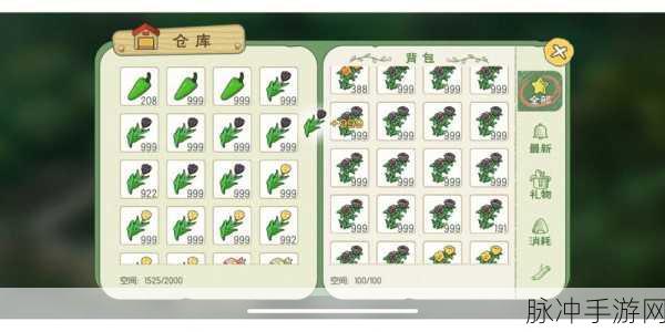 小森生活快速赚金币攻略，打造你的财富帝国
