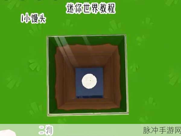 迷你世界闯关游戏全攻略，解锁关卡秘籍与高分技巧