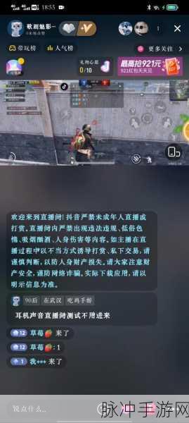 绝地求生手游攻略，解决进游戏按T无喇叭，听不到队友说话的问题