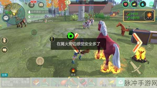 创造与魔法，红马与鸟坐骑的优劣大揭秘