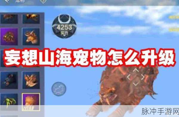 妄想山海新手必知，前期最佳宠物攻略