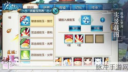探索手游职业技能认定的全方位指南